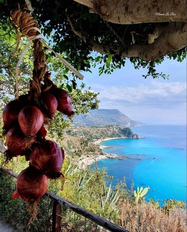Bed and Breakfast Dreams Tropea Mare "Parking Private" Exteriér fotografie